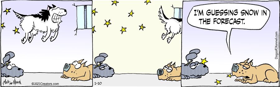 Dogs of C-Kennel for Jan 10, 2025