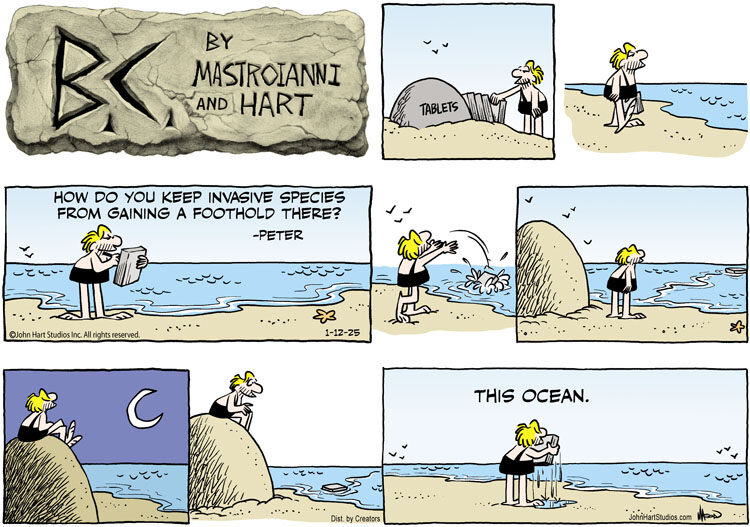 B.C. for Jan 12, 2025