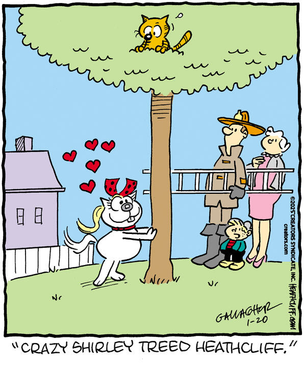 Heathcliff for Jan 20, 2025