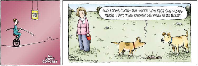 Speed Bump for Feb 09, 2025