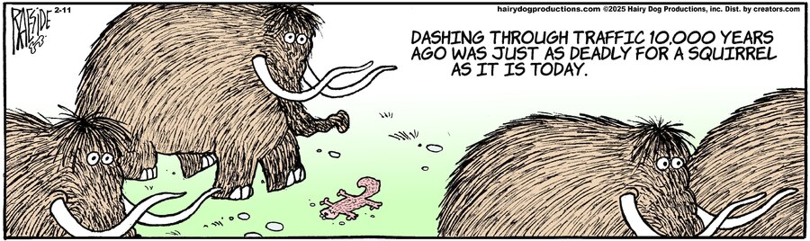 The Other Coast for Feb 11, 2025