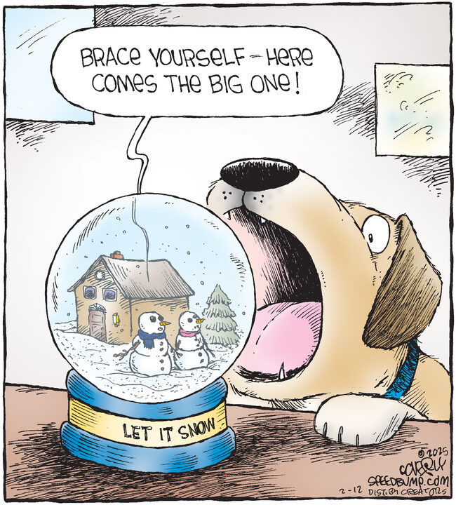 Speed Bump for Feb 12, 2025