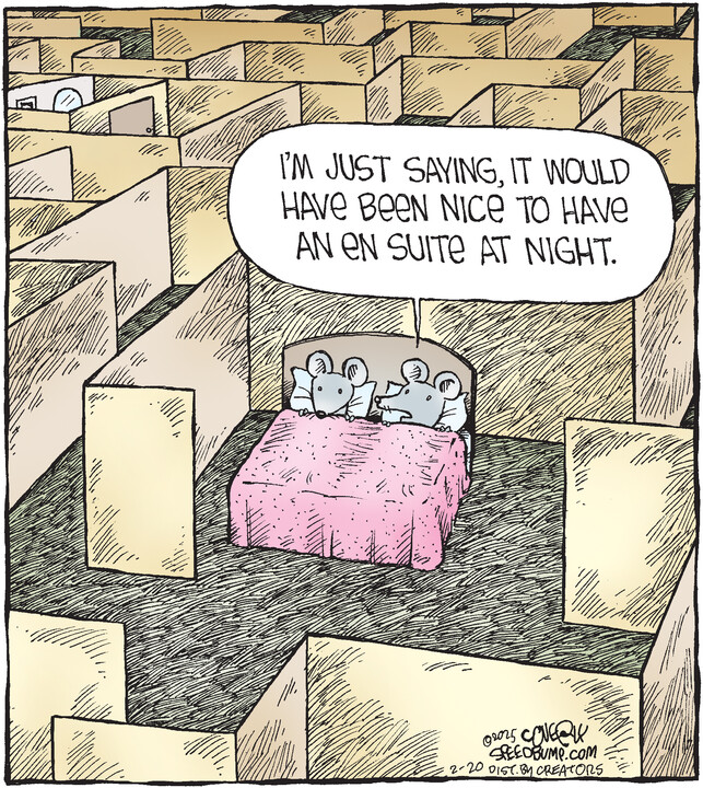 Speed Bump for Feb 20, 2025