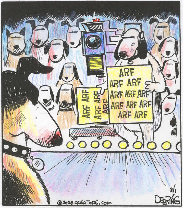 Strange Brew for Mar 01, 2025