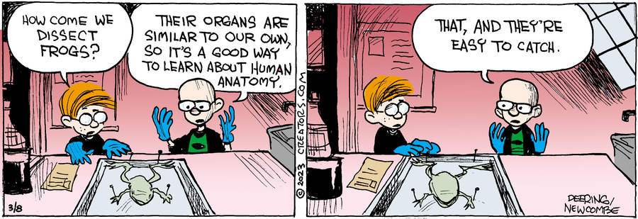 Zack Hill for Mar 08, 2023