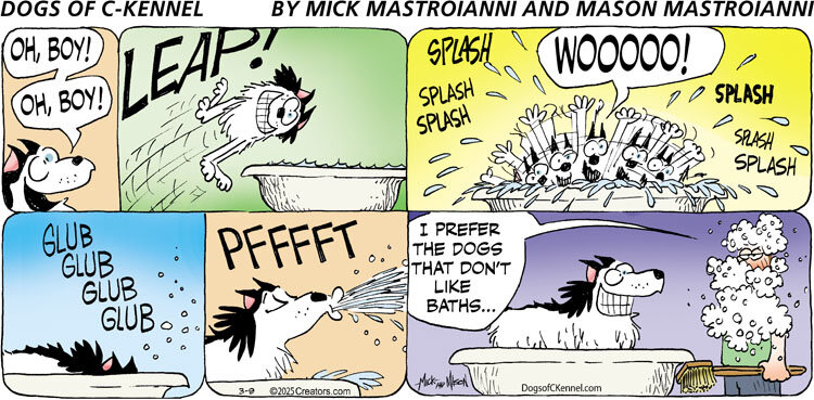 Dogs of C-Kennel for Mar 09, 2025