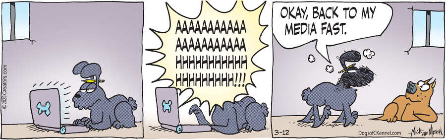 Dogs of C-Kennel for Mar 12, 2025