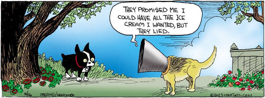 Zack Hill for May 16, 2023