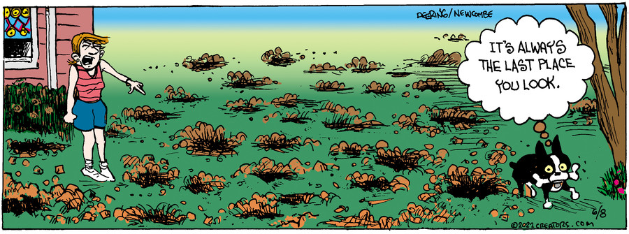 Zack Hill for Jun 08, 2022