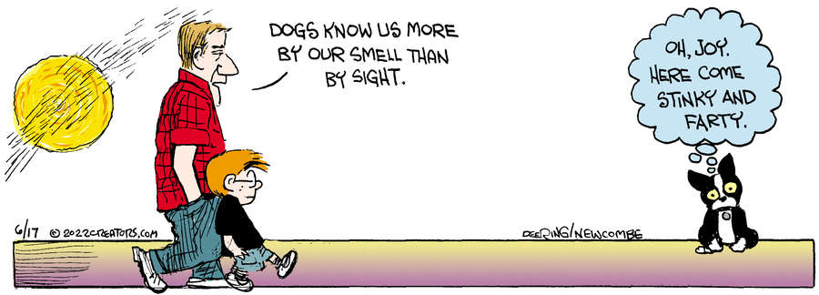 Zack Hill for Jun 17, 2022