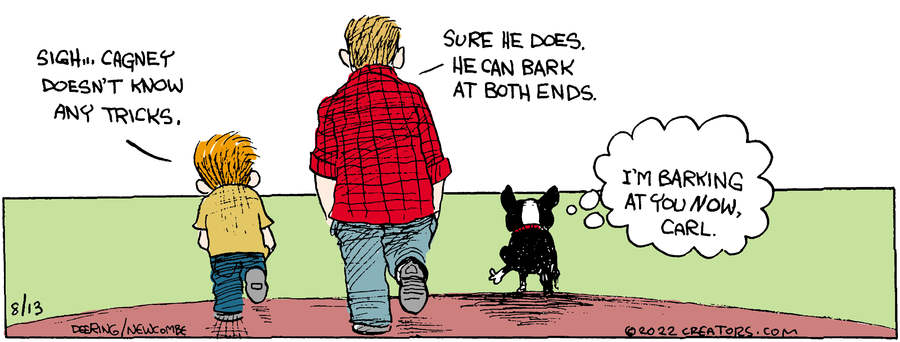 Zack Hill for Aug 13, 2022