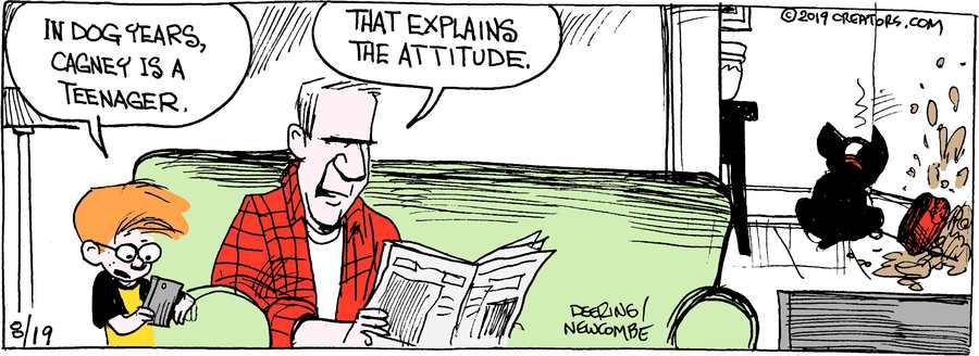 Zack Hill for Aug 19, 2022