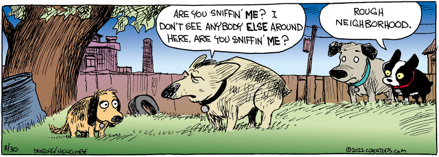 Zack Hill for Aug 30, 2022