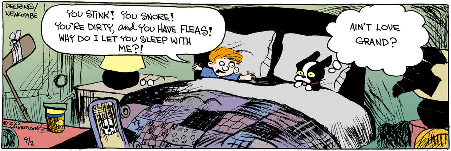 Zack Hill for Sep 02, 2022