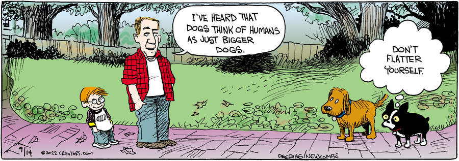 Zack Hill for Sep 14, 2022