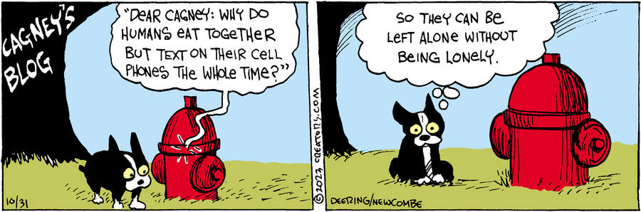 Zack Hill for Oct 31, 2023