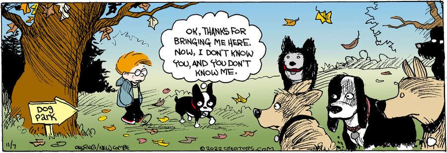 Zack Hill for Nov 07, 2022