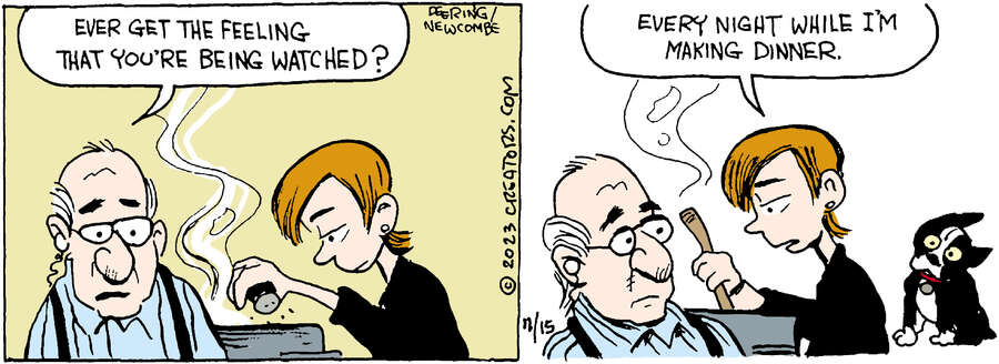 Zack Hill for Nov 15, 2023