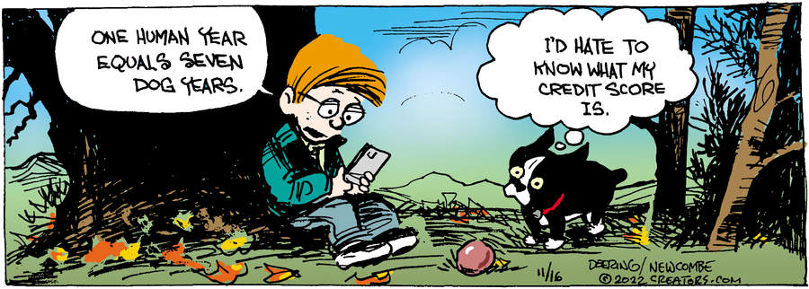 Zack Hill for Nov 16, 2022