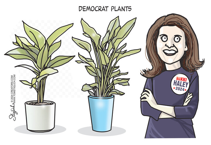 Tom Stiglich for Jan 24, 2024