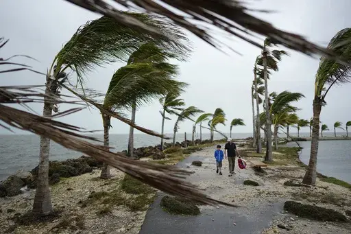Bob Givehchi, right, and his son Daniel, 8, Toronto residents visiting Miami for the first time, walk past debris and palm trees blowing in gusty winds, at Matheson Hammock Park in Coral Gables, Fla., Dec. 15, 2023. Nearly all the experts think 2024 will be one of the busiest Atlantic hurricane seasons on record. (AP Photo/Rebecca Blackwell, File)