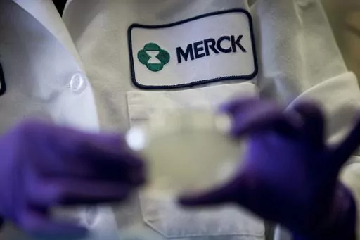 A Merck scientist conducts research on Feb. 28, 2013, in West Point, Pa. Merck is suing the federal government Tuesday, June 6, 2023, over a plan to negotiate Medicare drug prices, calling the program a sham equivalent to extortion. The drugmaker is seeking to halt the program, which was laid out in the Inflation Reduction Act and is expected to save taxpayers billions of dollars in the coming years. (AP Photo/Matt Rourke, File)