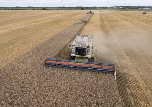 Harvesters collect wheat in the village of Zghurivka, Ukraine, on Aug. 9, 2022. Concerns are growing that Russia will not extend a U.N.-brokered deal that allows grain to flow from Ukraine to parts of the world struggling with hunger, with ships no longer heading to the war-torn country's Black Sea ports and food exports dwindling. (AP Photo/Efrem Lukatsky, File)