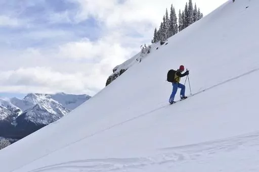 Doug Chabot with the Gallatin National Forest Avalanche Center ascends Henderson Mountain in the Beartooth Mountains, Jan 29, 2024 near Cooke City, Mont. Chabot was climbing to the site of a recent avalanche. (AP Photo/Matthew Brown)