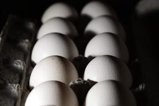A carton of eggs are seen, Tuesday, July 12, 2022, in Marple Township, Pa. On Friday, Feb. 10, 2023, The Associated Press reported on stories circulating online incorrectly claiming a protein naturally found in egg yolks protects against COVID-19 in humans, which is why there is an egg shortage. (AP Photo/Matt Slocum, File)