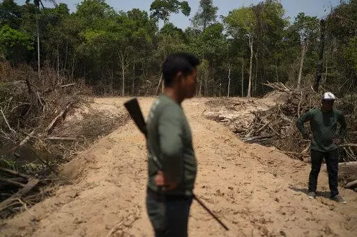 Monhire Menkragnotire, of the Kayapo indigenous community, center, surveys an area where illegal loggers opened a road to enter Menkragnotire indigenous lands, on the border with the Biological Reserve Serra do Cachimbo, top, where logging is also illegal, in Altamira, Para state, Brazil on Aug. 31, 2019. Environmental criminals in the Brazilian Amazon destroyed public forests equal the size of El Salvador over the past six years, yet the Federal Police carried out only seven operations aimed at