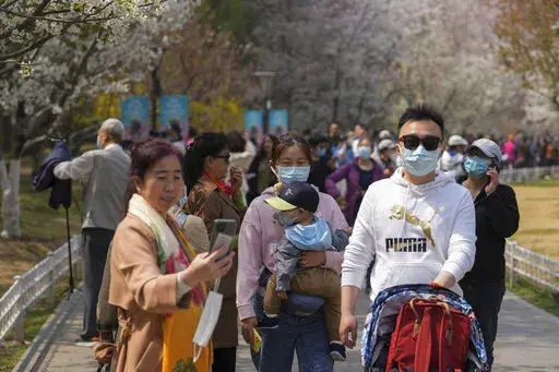 Visitors wearing face masks enjoy cherry blossoms at the Yuyuantan Park during a spring festival, Friday, April 8, 2022, in Beijing. Three local officials in Shanghai have been sacked over a slack response to the COVID-19 outbreak in China's largest city, where residents are complaining that harsh lockdown conditions have led to shortages of food and basic necessities. (AP Photo/Andy Wong)