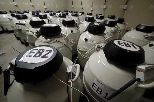 A room full of smaller cryo storage containers, each capable of holding approximately 150 egg samples immersed in liquid nitrogen, in one of the secured storage areas at the Aspire Houston Fertility Institute in vitro fertilization lab Tuesday, Feb. 27, 2024, in Houston. Women over 35 and those facing serious diseases like cancer, lupus and sickle cell are among the most likely to turn to IVF to build the families they desperately want. But in Alabama, they are among those whose dreams are in li