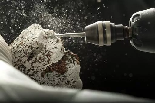 This photo provided by the University of Copenhagen in January 2024 shows the process of ancient DNA extraction at the Lundbeck Foundation GeoGenetics Center in Copenhagen. According to research published Wednesday, Jan. 10, 2024, in the journal Nature, ancient DNA helps explain why northern Europeans have a higher risk of multiple sclerosis than other ancestries: It’s a genetic legacy of horseback-riding cattle herders who swept into the region about 5,000 years ago. (Mikal Schlosser/Universi