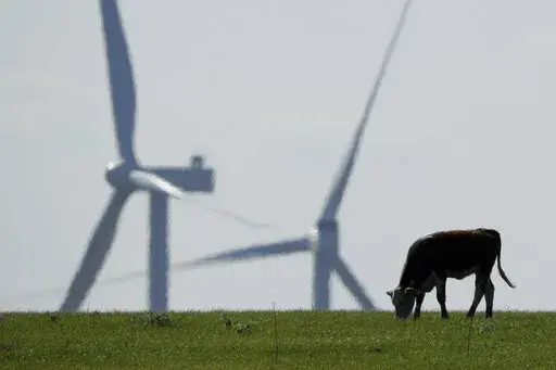 A cow grazes in a pasture as wind turbines rise in the distance, April 27, 2020, near Reading, Kan. The climate deal reached by Senate Democrats could reduce the amount of greenhouse gases that American farmers produce by expanding programs that help sequester carbon in soil, fund climate-focused research and lower the abundant methane emissions that come from cows. (AP Photo/Charlie Riedel, File)