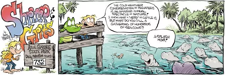 Shrimp and Grits for Feb 11, 2024