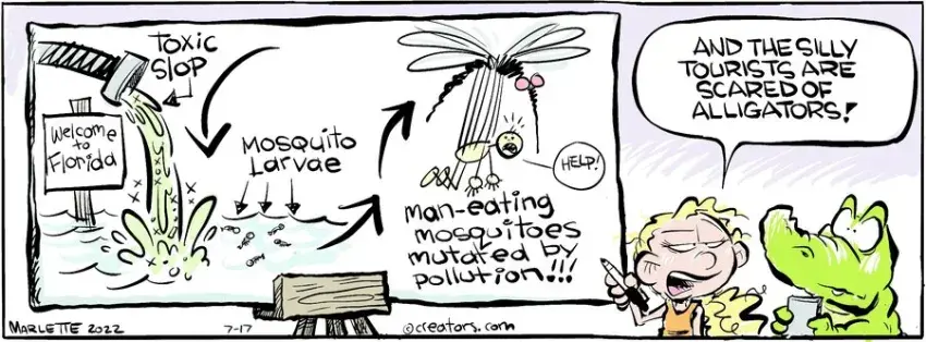 Shrimp and Grits for Jul 17, 2024