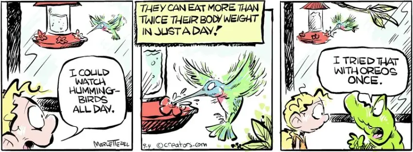 Shrimp and Grits for Sep 04, 2024